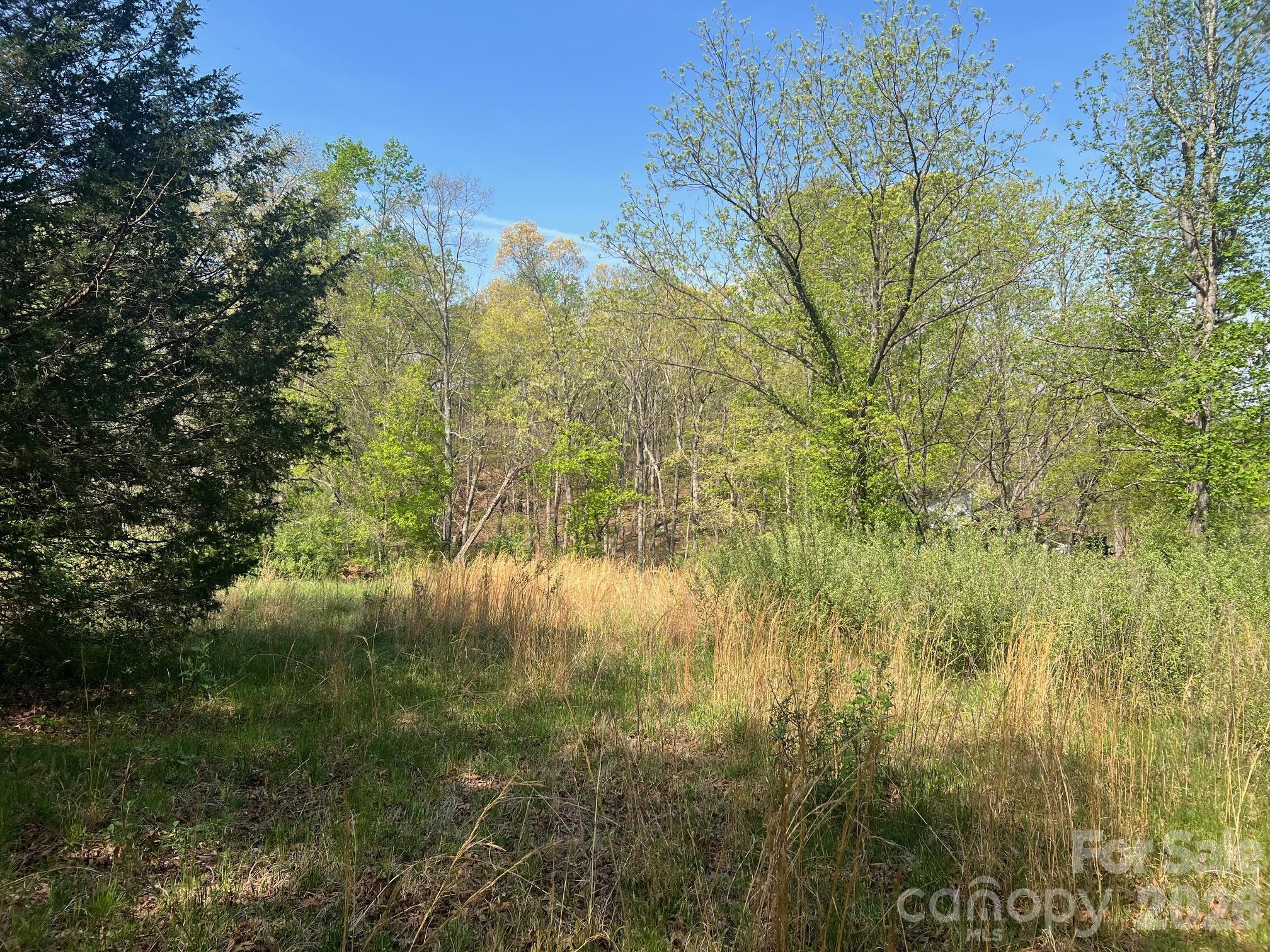 6374 Peniel Road Tryon, NC 28782 - Photo 7 of 22