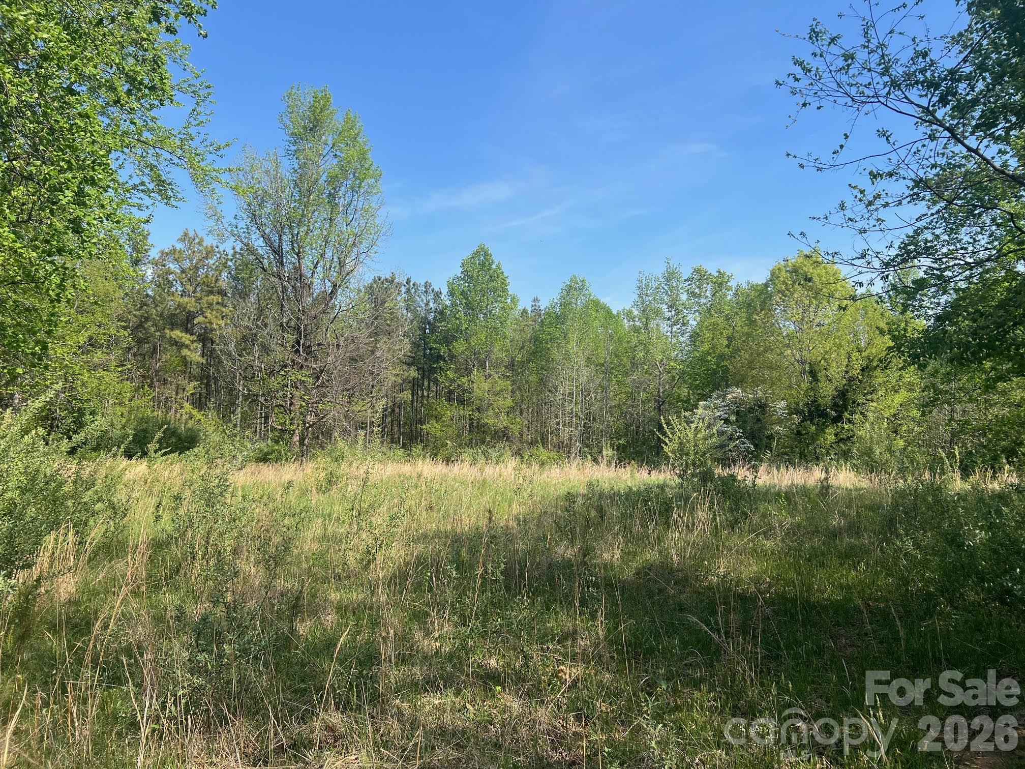 6374 Peniel Road Tryon, NC 28782 - Photo 9 of 22