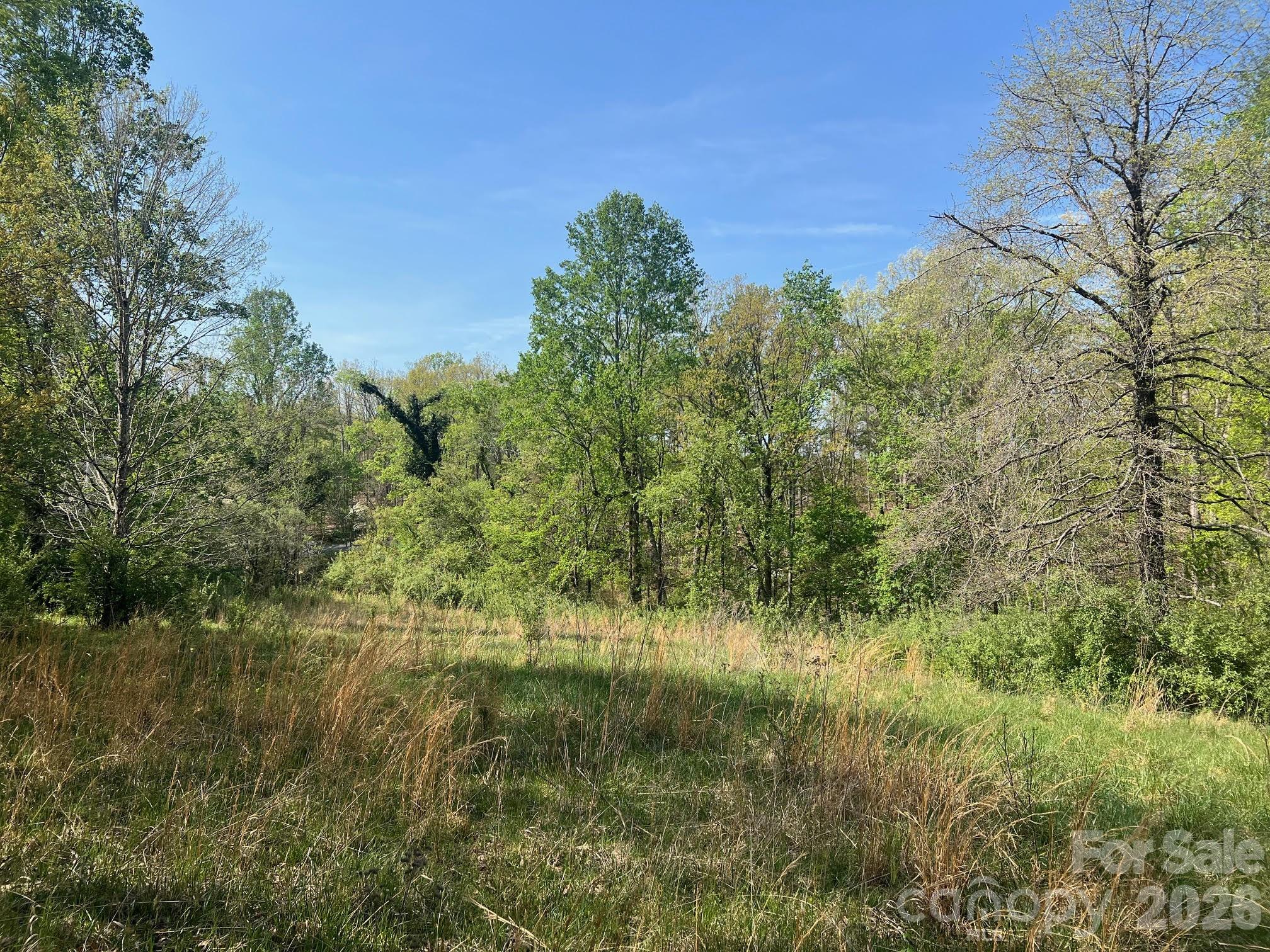6374 Peniel Road Tryon, NC 28782 - Photo 10 of 22