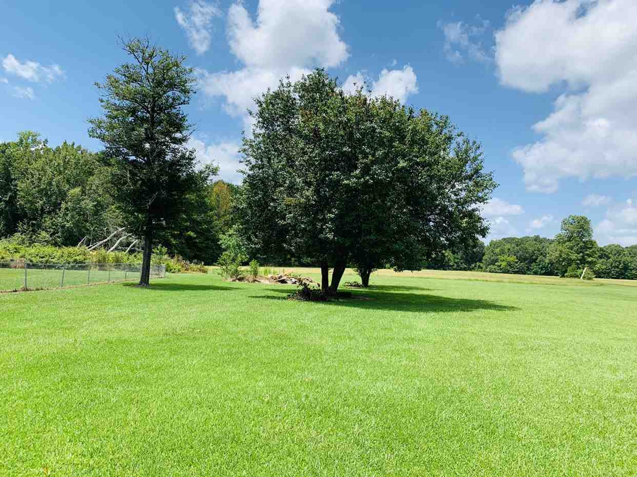 1223 Old Pearl Road Florence, MS 39073 - Photo 6 of 24 Photo 6