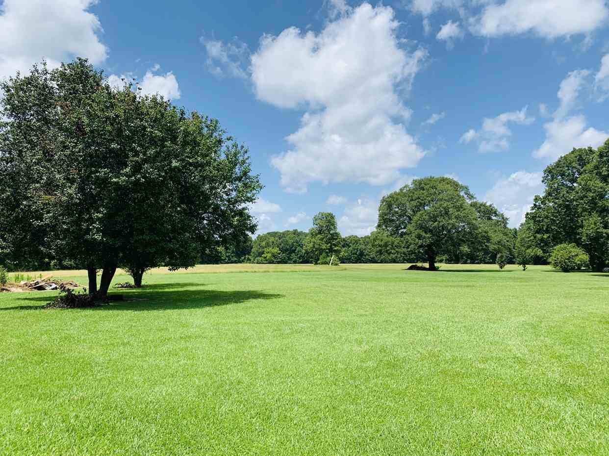 1223 Old Pearl Road Florence, MS 39073 - Photo 10 of 24 Photo 11
