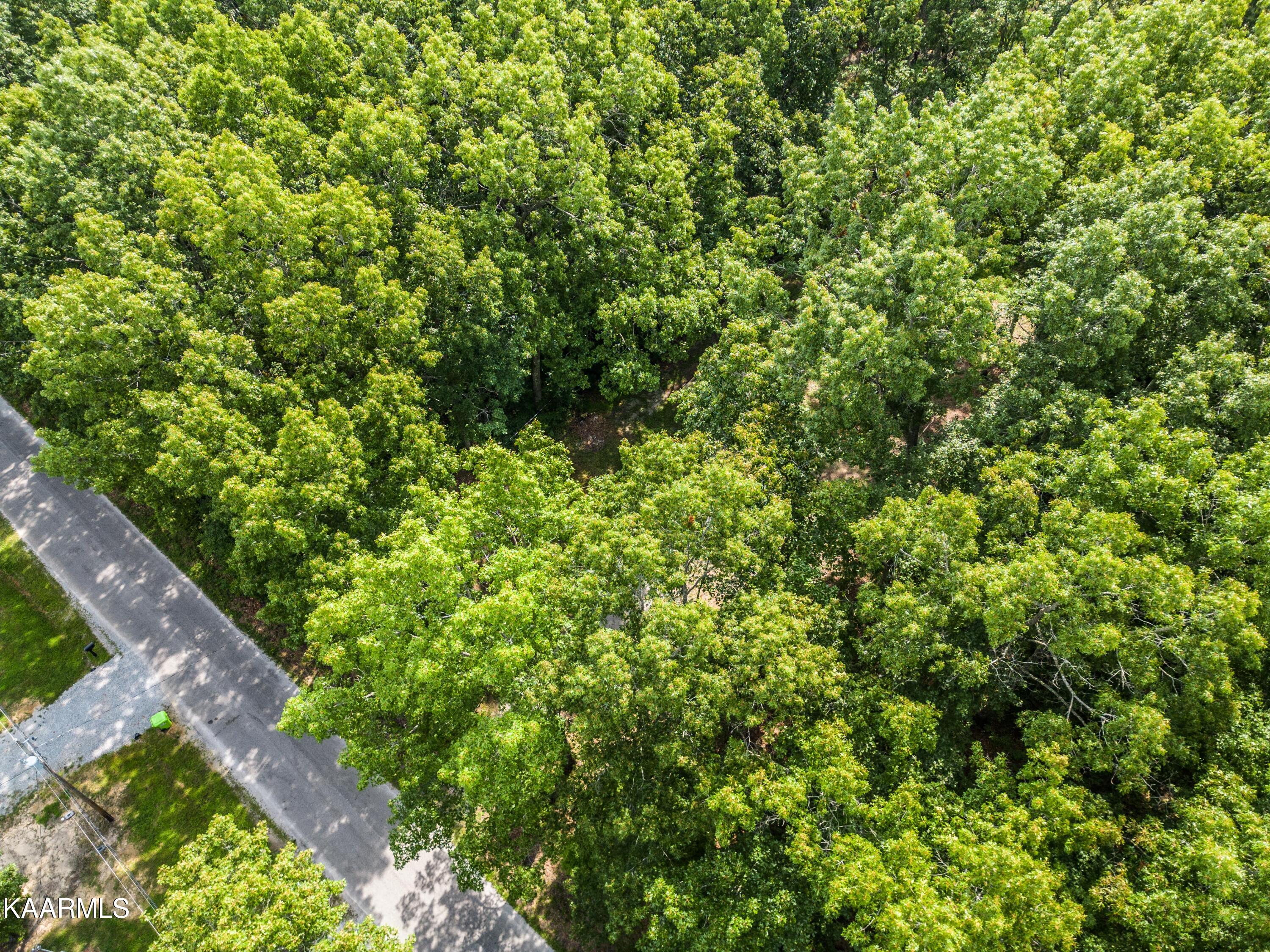 3125 Oswego Road Crossville, TN 38572 - Photo 7 of 7 DJI_0054