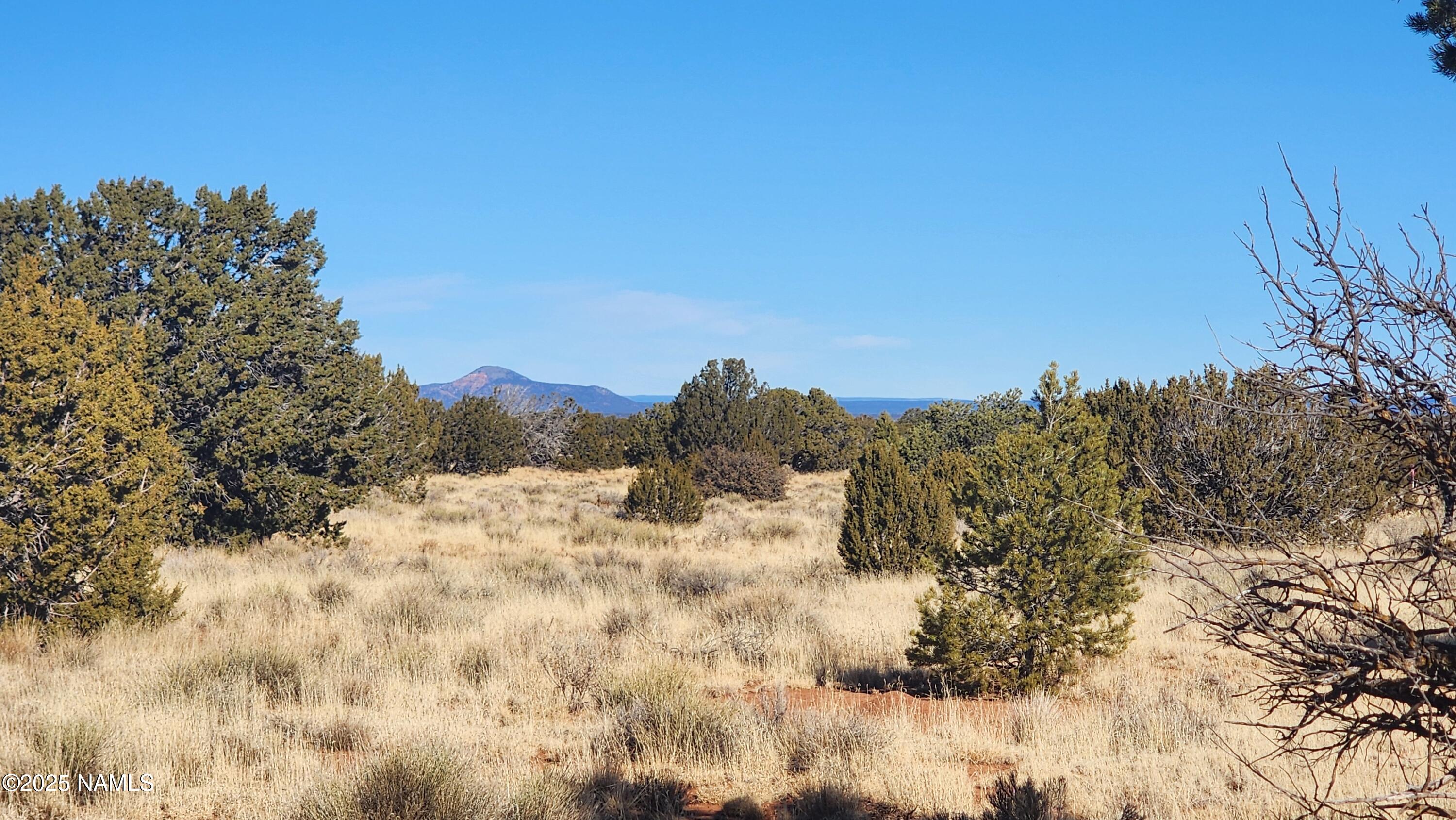 3372 East Valencia Road Williams, AZ 86046 - Photo 17 of 32 1000023795