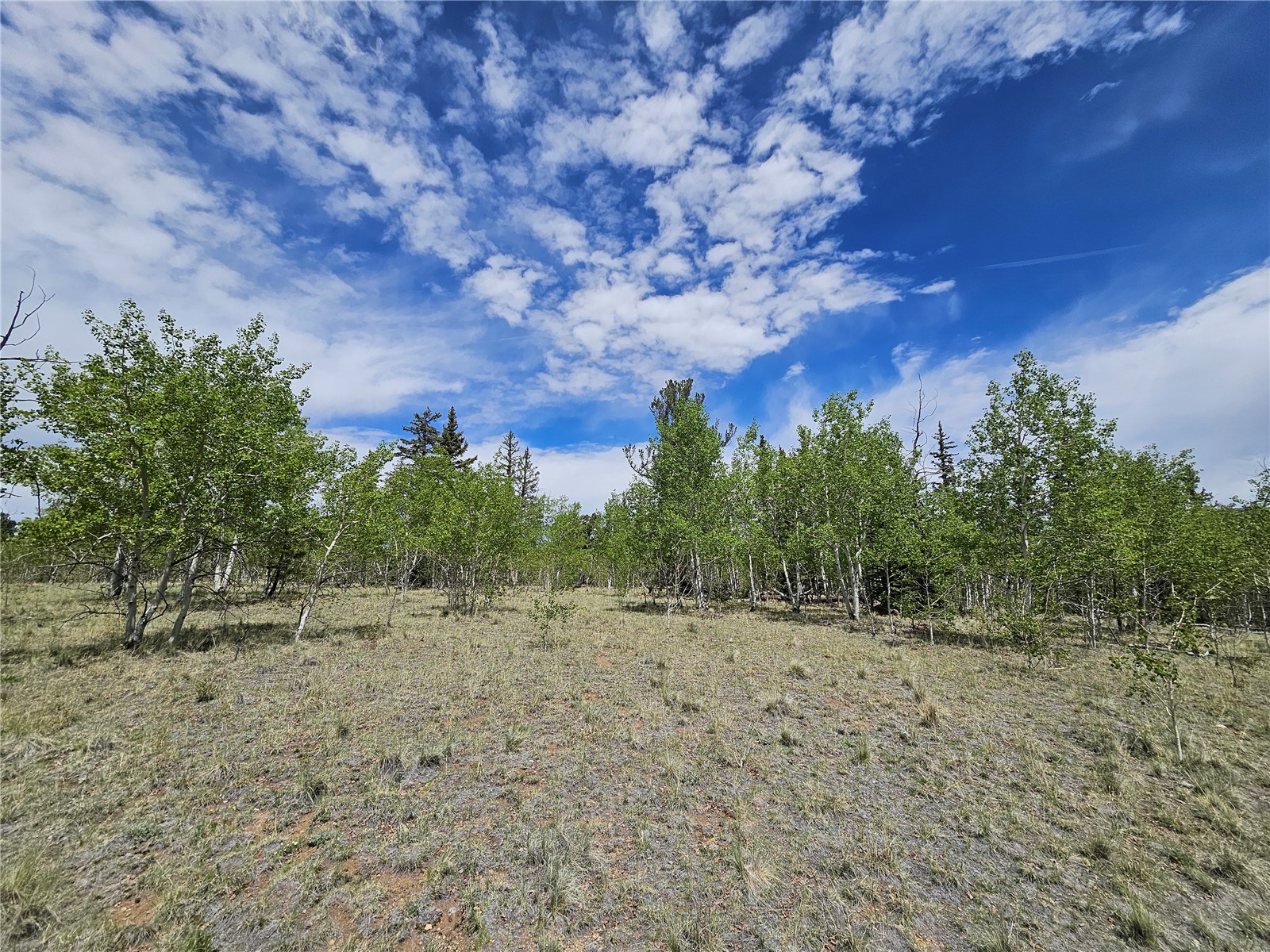 412 Smith And Wesson Road Como, CO 80432 - Photo 21 of 50