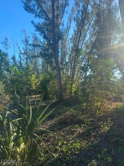 3666 Stabile Road St. James City, FL 33956 - Photo 6 of 8 a view of a yard with large trees