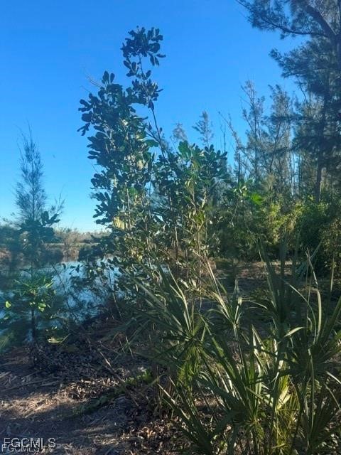 3666 Stabile Road St. James City, FL 33956 - Photo 7 of 8 a view of a tree