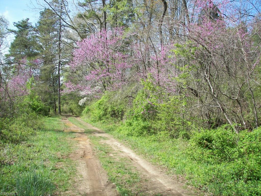 6379 Germanton Road Rural Hall, NC 27045 - Photo 4 of 17