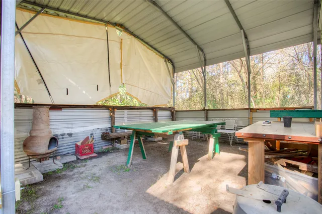 a view of a backyard with plants and trees