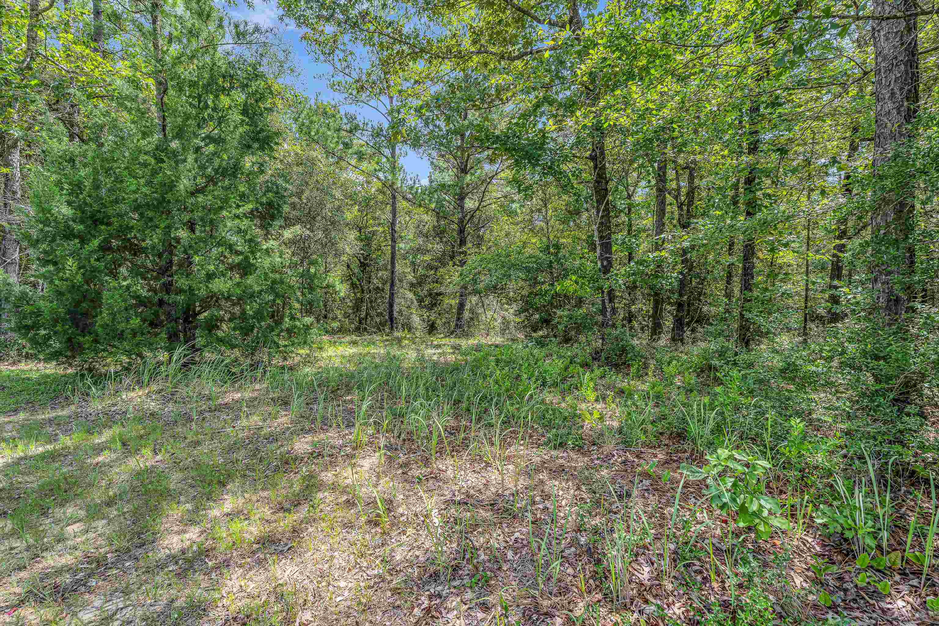 39 County Road 39 Stapleton, AL 36578 - Photo 5 of 16 View