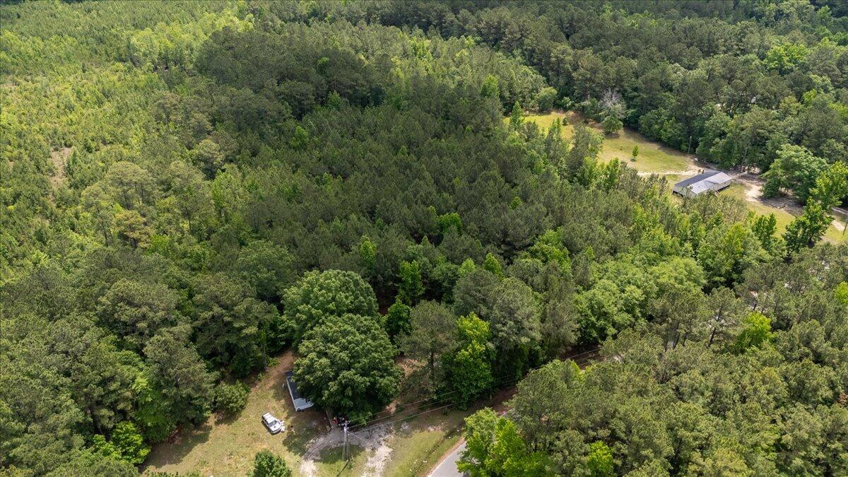 0 Deneaux Road Rowesville, SC 29133 - Photo 20 of 43 20-Deneaux-18