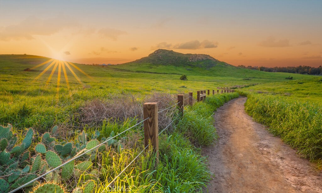 332 Quail Ridge Irvine, CA 92603 - Photo 25 of 25 a view of a lake with a mountain