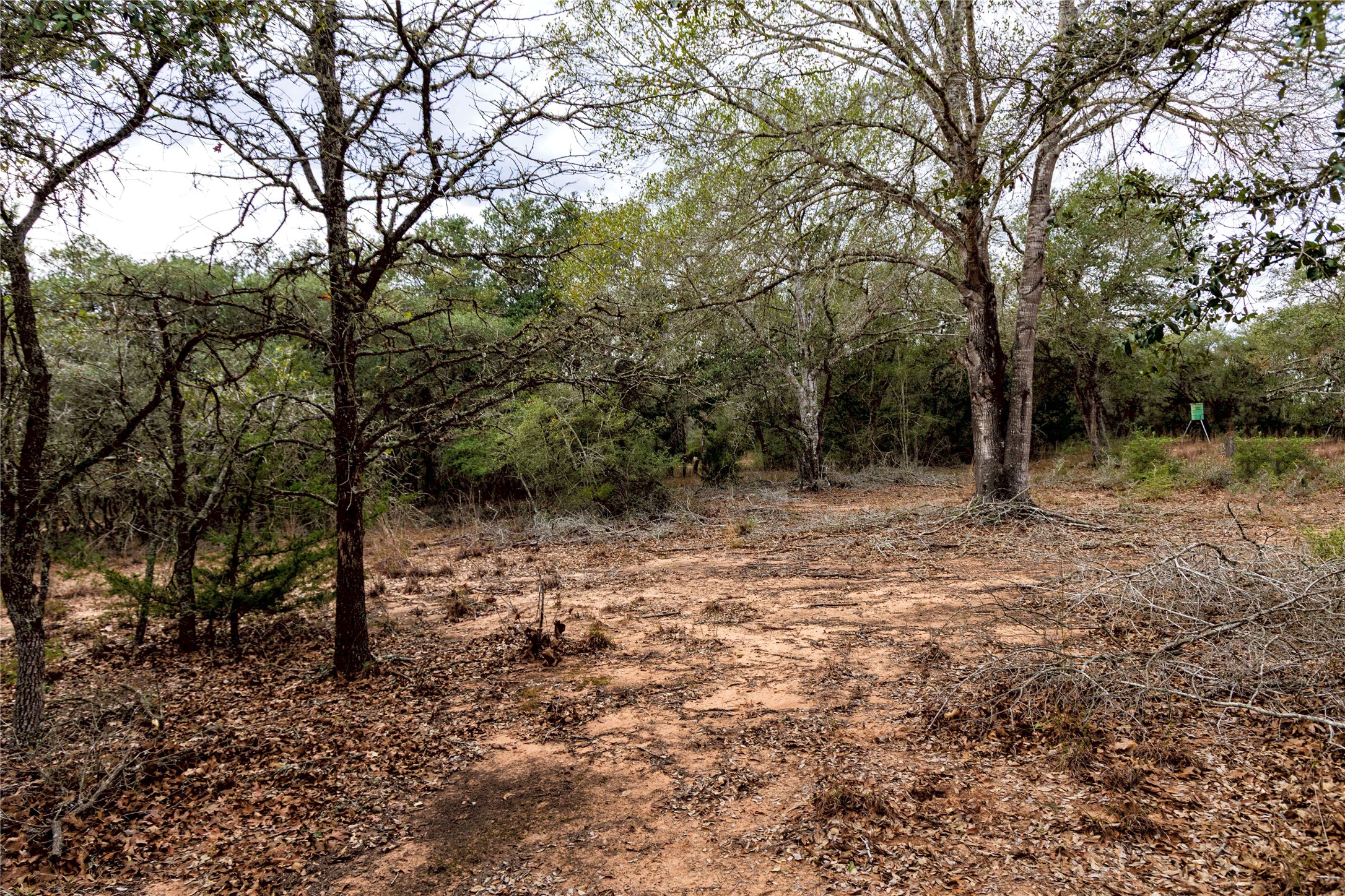 0 County Road 123 Sublime, TX 77986 - Photo 13 of 18 This beautiful piece of land offers the perfect blend of seclusion and natural charm filled with white oak trees.