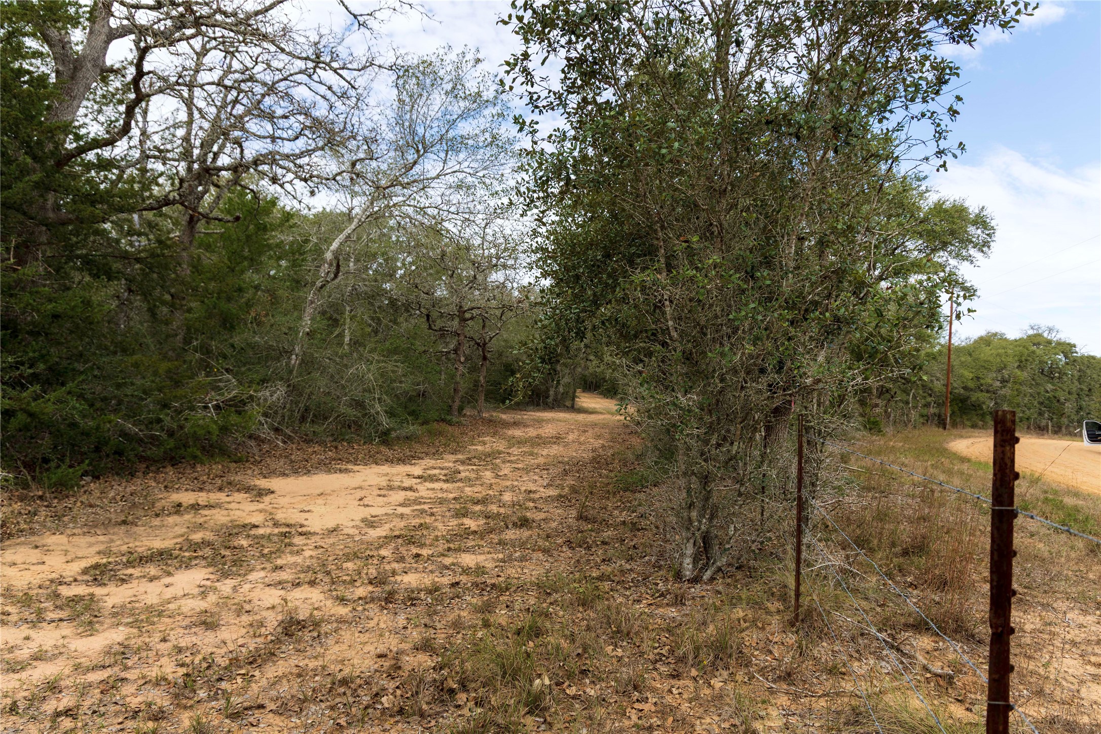 0 County Road 123 Sublime, TX 77986 - Photo 16 of 18 a view of a yard with trees