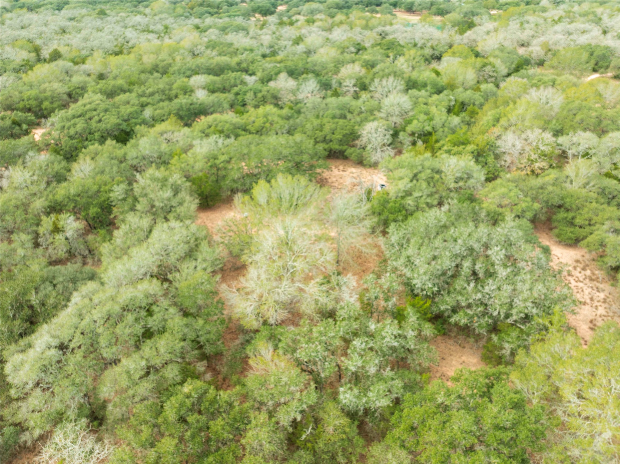 0 County Road 123 Sublime, TX 77986 - Photo 17 of 18 a view of a big yard of a house