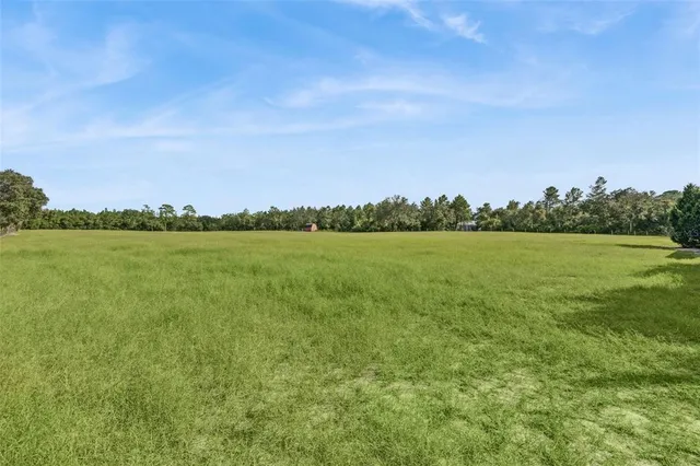 a view of empty room with floor to ceiling window and ceiling fan