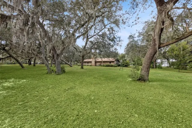 a view of a golf course with a lake