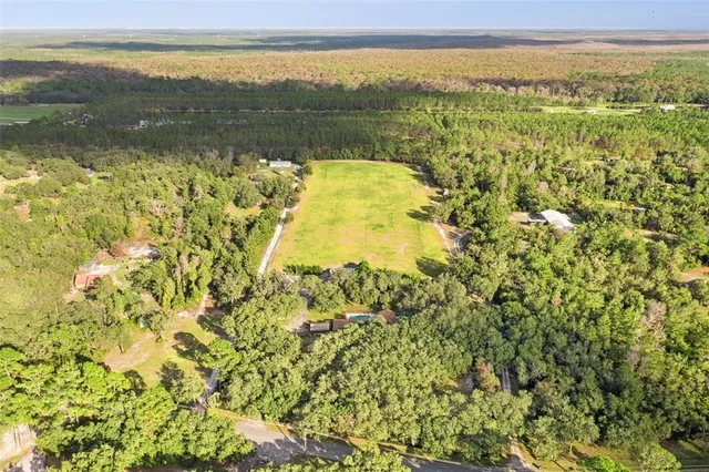 a view of a yard with plants and trees