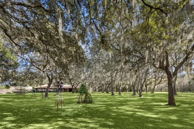 a big yard with trees