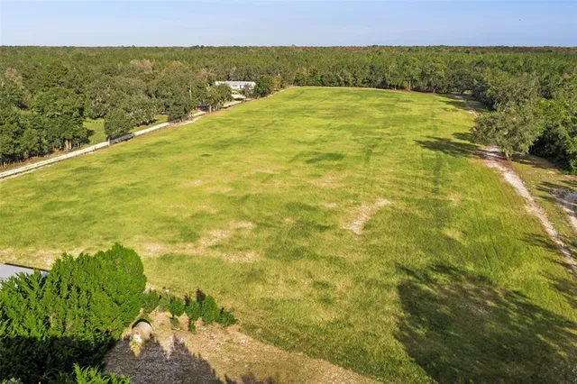 aerial view of a house with a yard and large tree