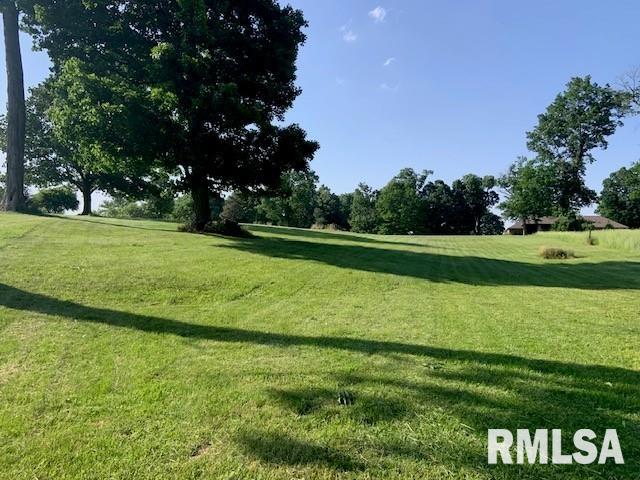 3 Governor's Drive Elkhart, IL 62634 - Photo 3 of 7