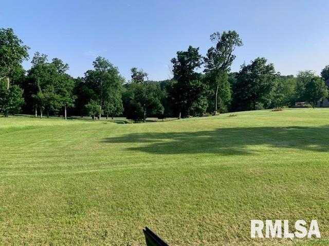 3 Governor's Drive Elkhart, IL 62634 - Photo 6 of 7