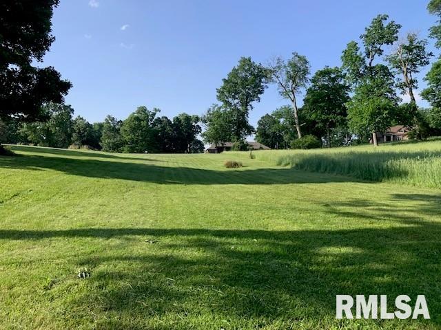 3 Governor's Drive Elkhart, IL 62634 - Photo 7 of 7