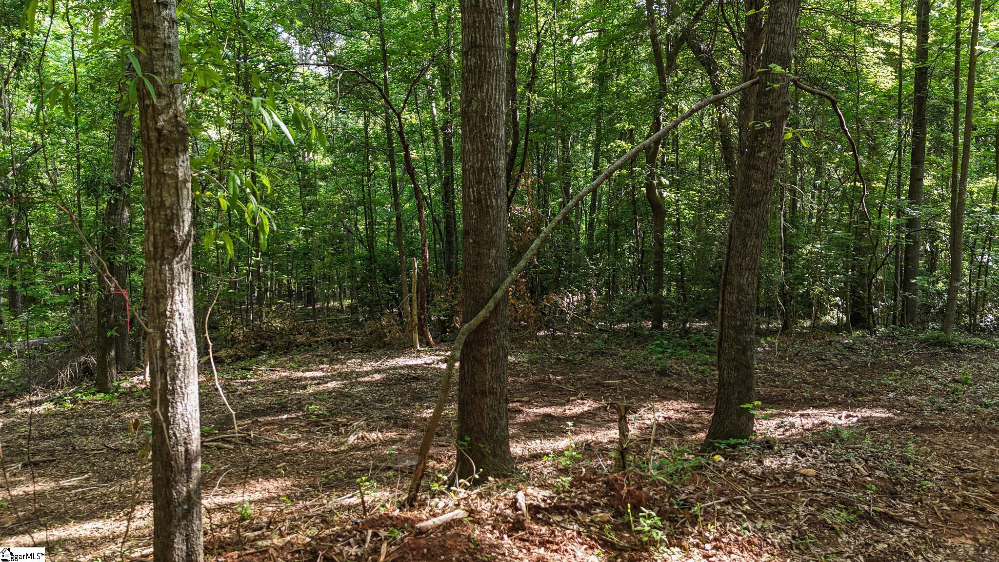 6 Guest Circle Anderson, SC 29621 - Photo 3 of 22