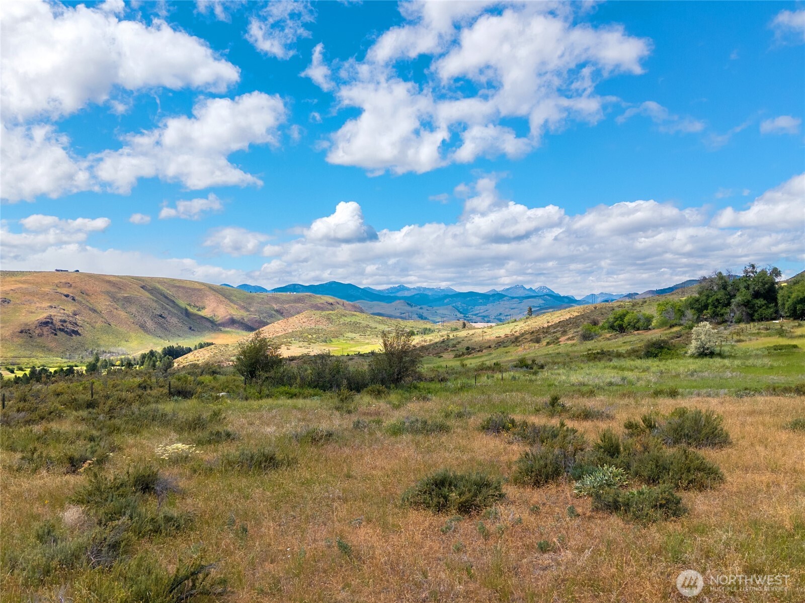 -tbd Bear Creek Road Winthrop, WA 98862 - Photo 6 of 30