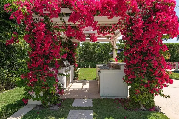 a view of a house with a tree and a flower plants