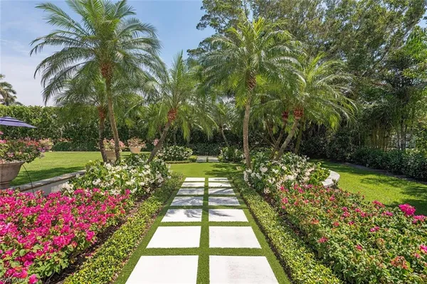 a view of a garden with flowers