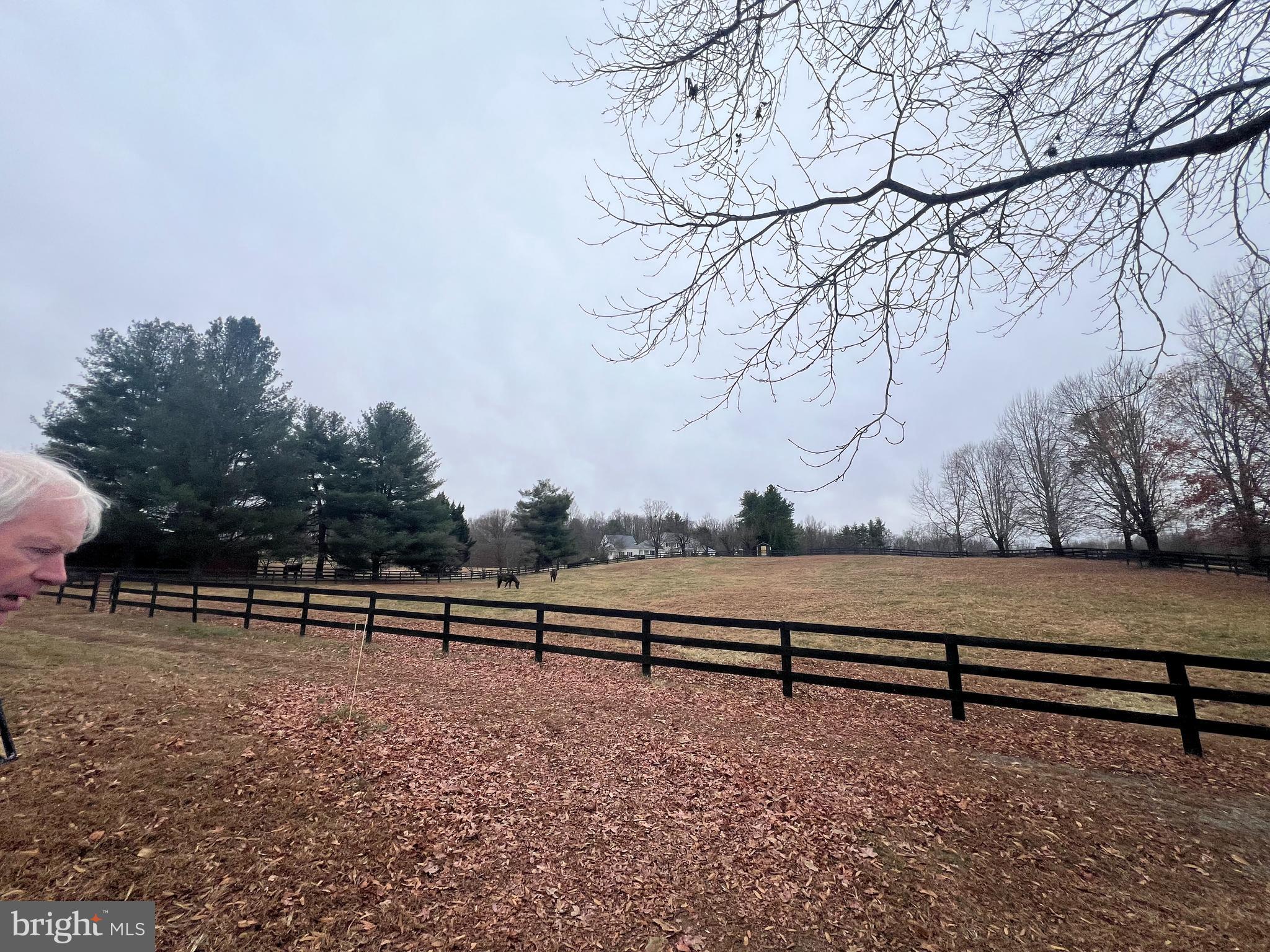 7112 Rock Hill Mill Road The Plains, VA 20198 - Photo 8 of 13 a view of bench and trees in a park