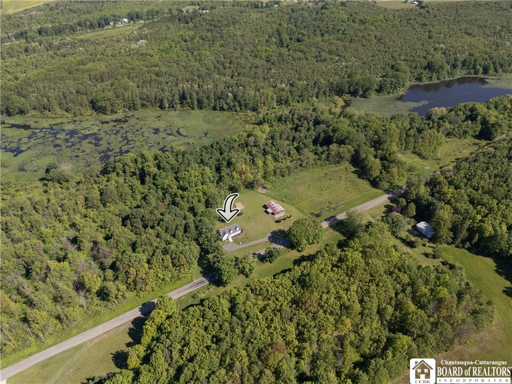 5320 Ellicott Road Pomfret, NY 14716 - Photo 47 of 49
