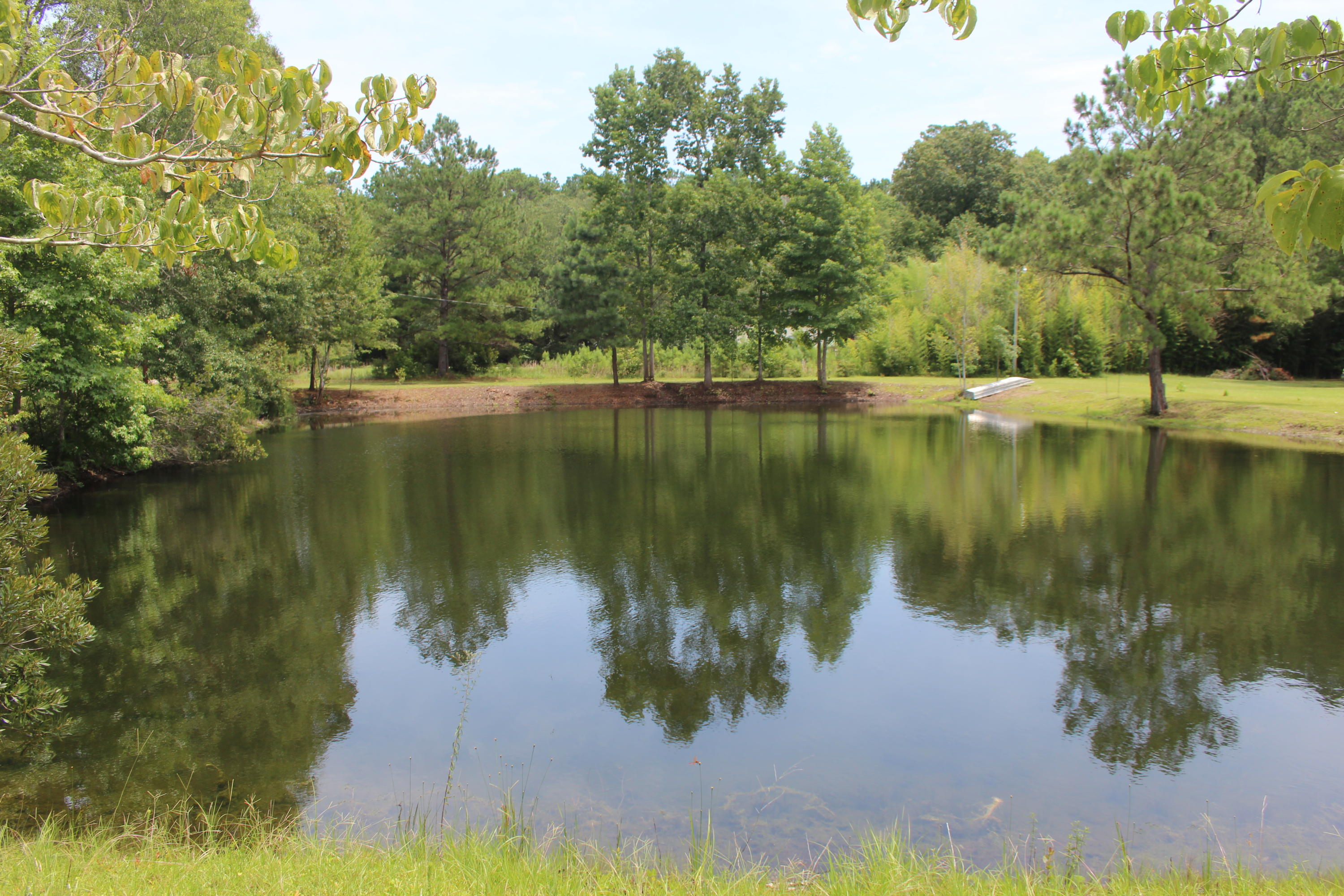 7935 Morris Bing Road Hollywood, SC 29449 - Photo 3 of 31 IMG_7057