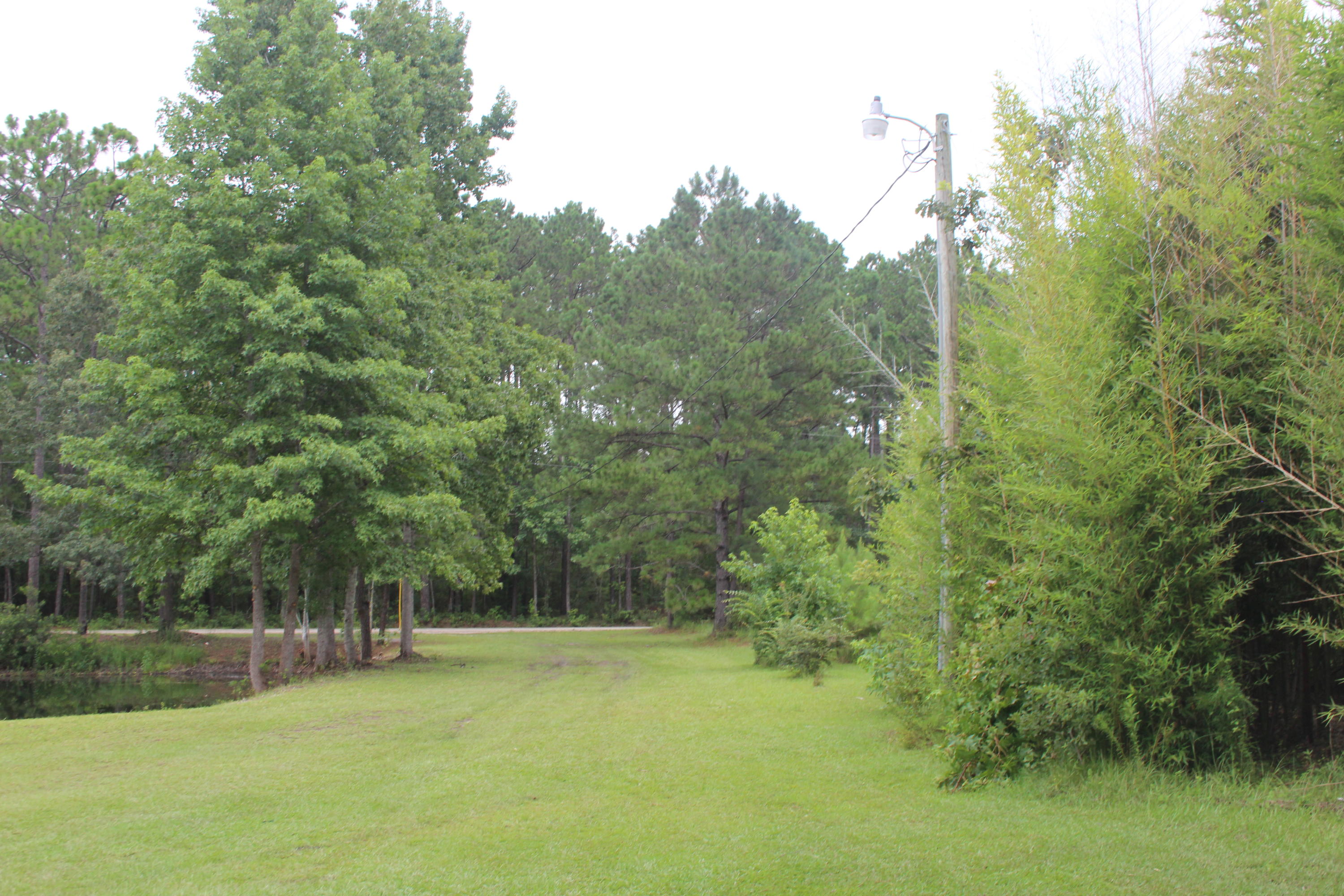 7935 Morris Bing Road Hollywood, SC 29449 - Photo 30 of 31 IMG_7115