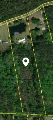 7935 Morris Bing Road Hollywood, SC 29449 - Photo 31 of 31 Ariel Photo