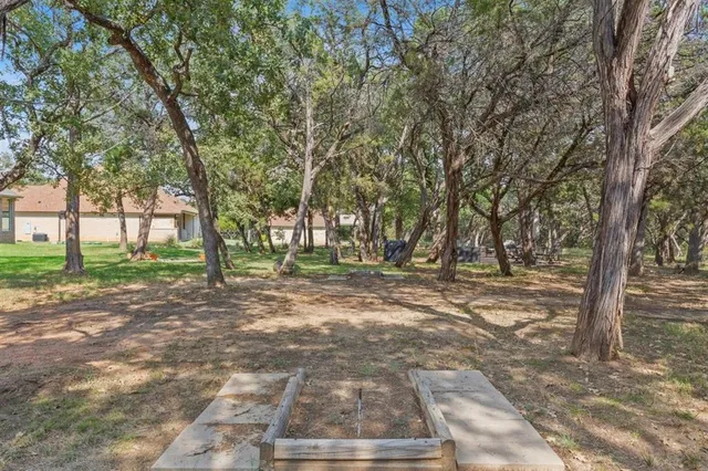 a view of backyard with tree