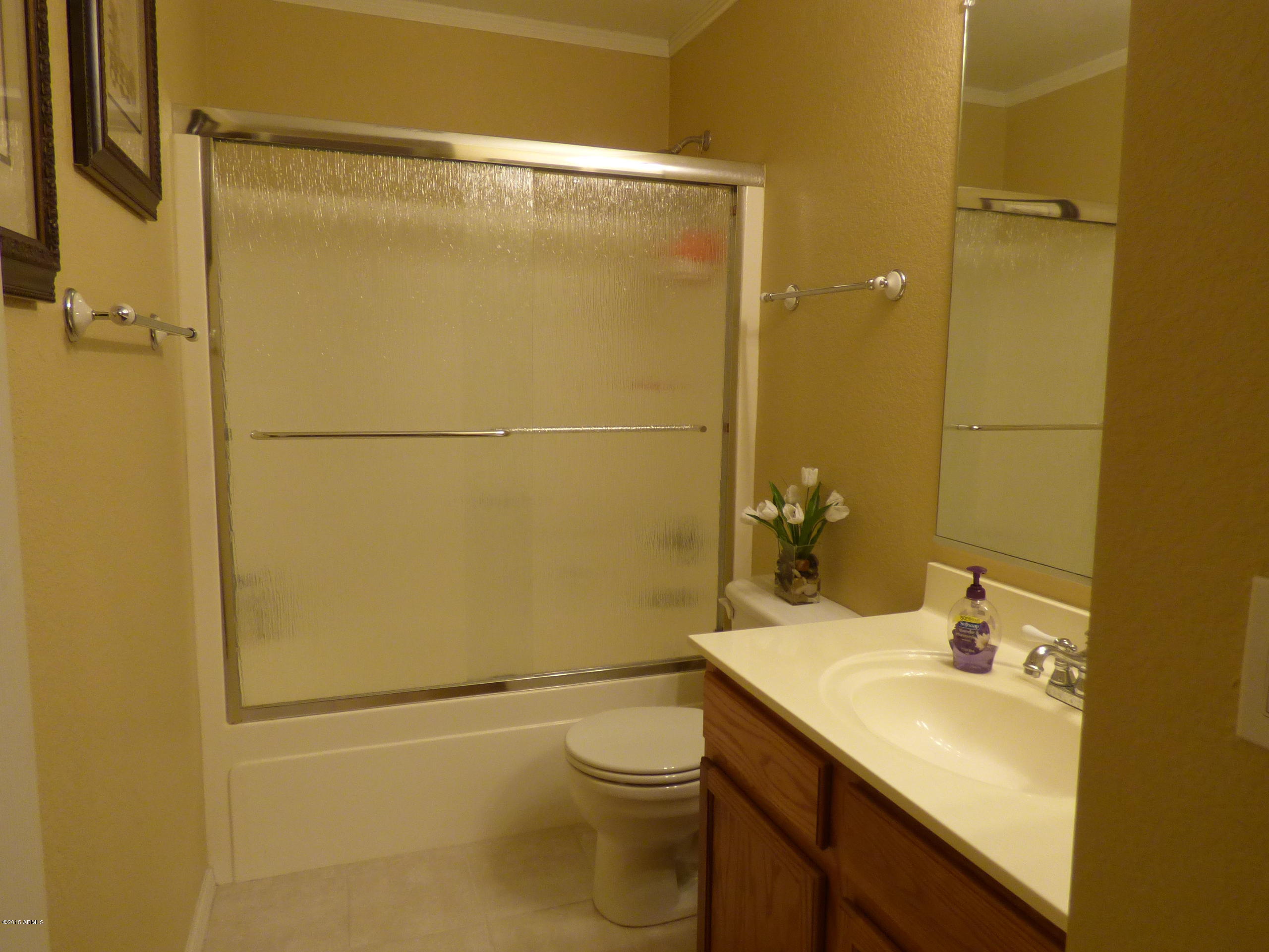 3305 South Chaparral Road Apache Junction, AZ 85119 - Photo 14 of 20 hall bath