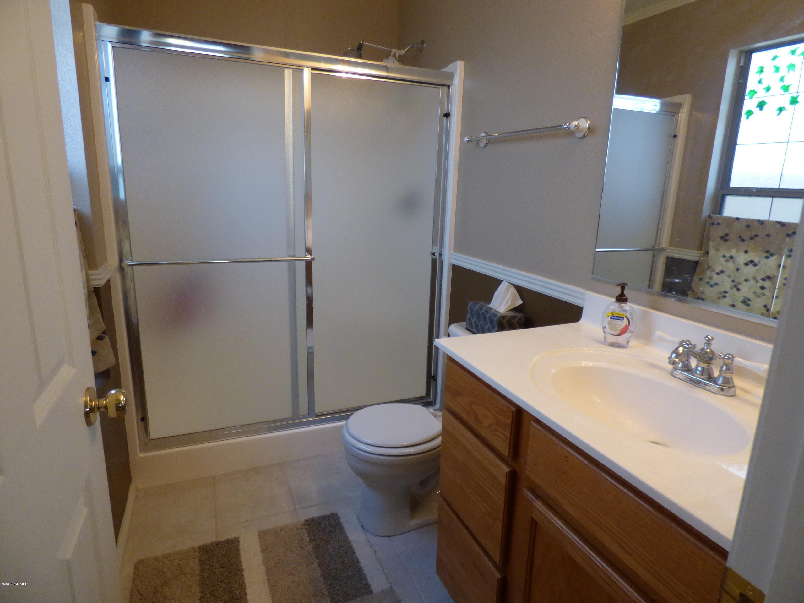 3305 South Chaparral Road Apache Junction, AZ 85119 - Photo 9 of 20 master bath