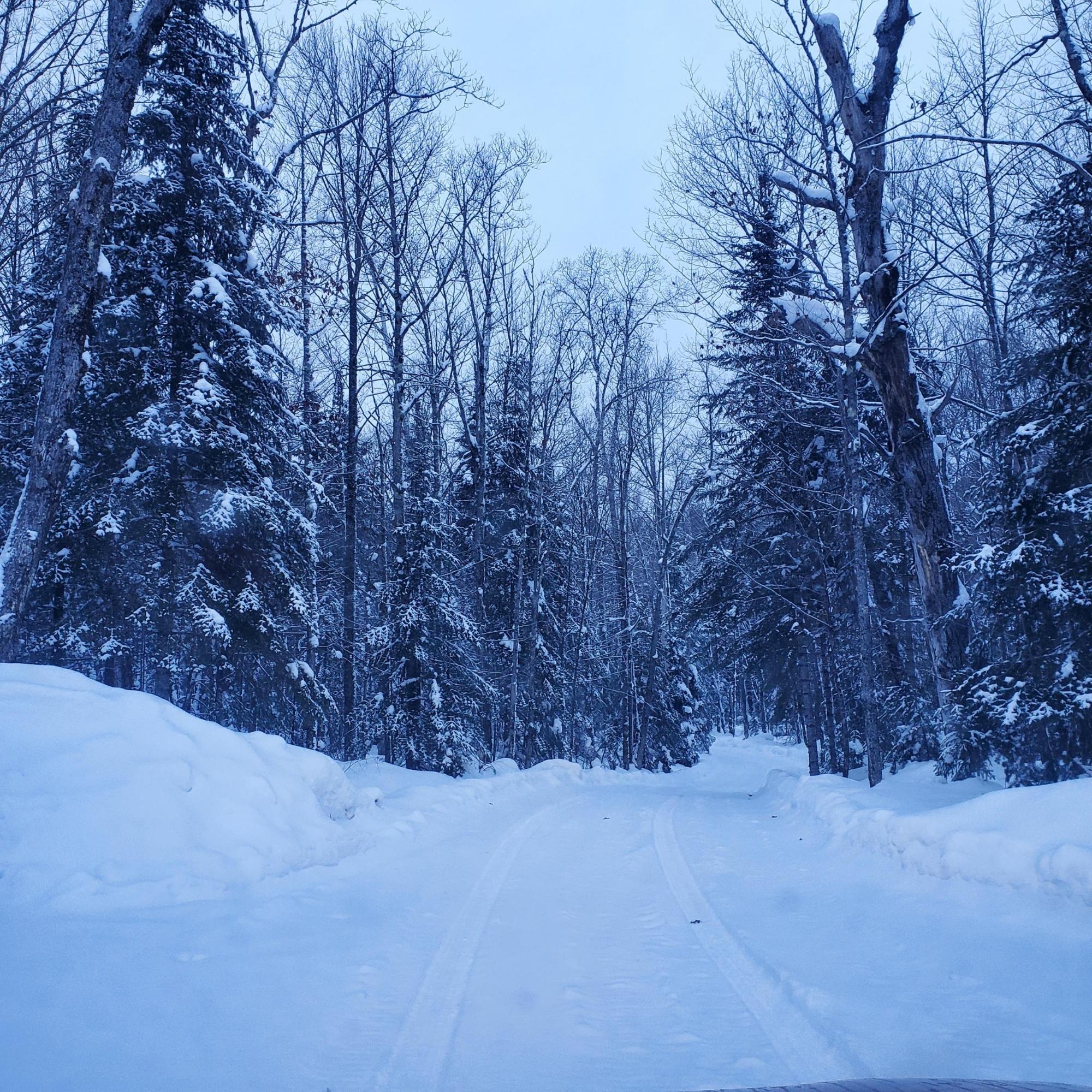 7650 Annabelle Lake Road Presque Isle, WI 54557 - Photo 6 of 69 Gallery Image 6