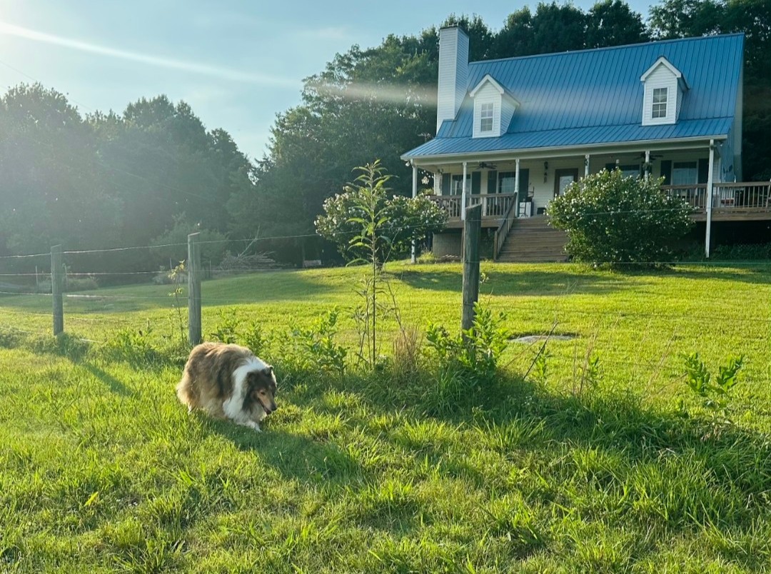 2770 Beech Log Road Watertown, TN 37184 - Photo 63 of 87