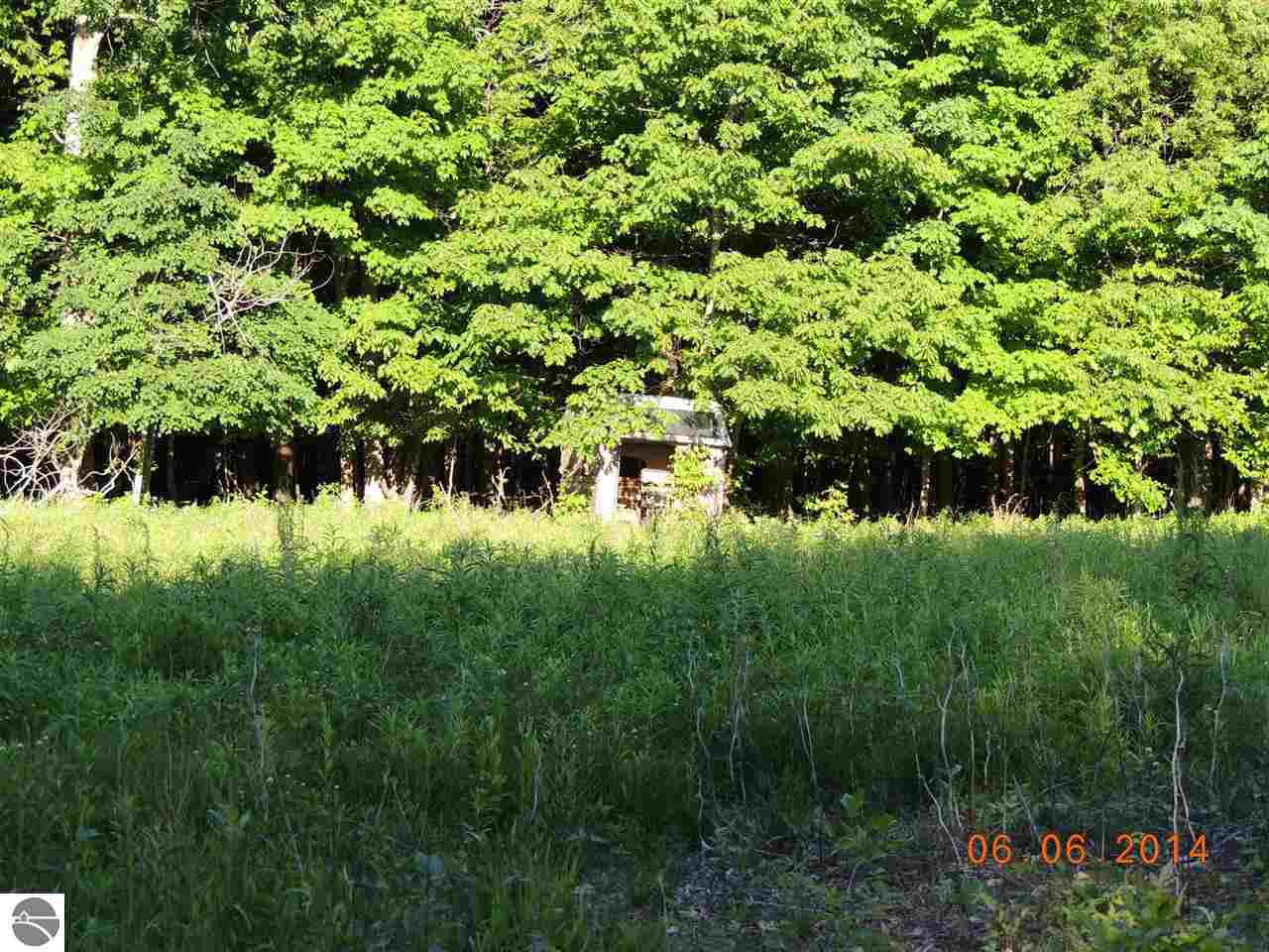 3070 South Warner Road Middleton, MI 48856 - Photo 17 of 36 1785781-16.JPG