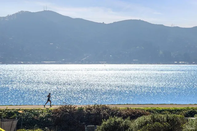 $3,495,000 | 7 Palmer Court, Tiburon, CA 94920