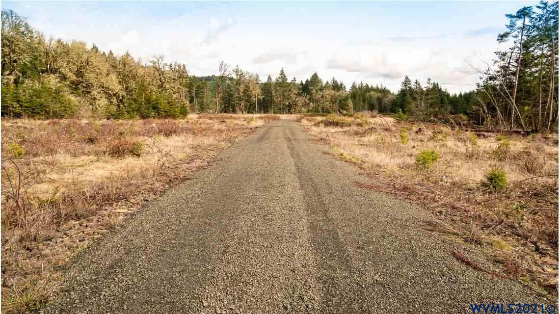Gooseneck (parcel 289476) Road Sheridan, OR 97378 - Photo 21 of 23