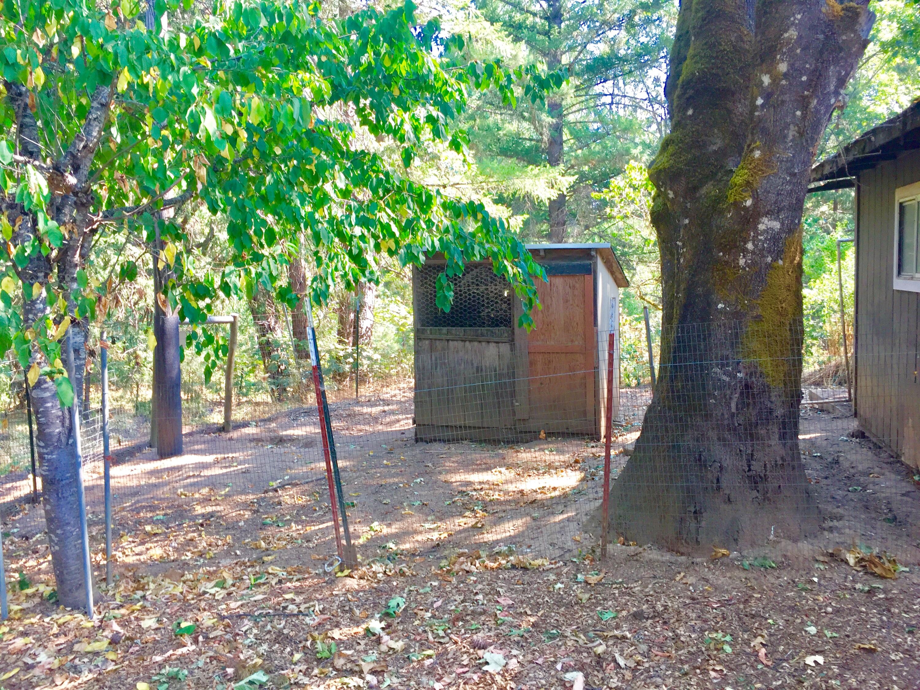 3200 Quartz Creek Road Merlin, OR 97532 - Photo 18 of 21 CHICKEN COOP