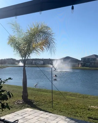 a palm tree sitting in a yard next to a building