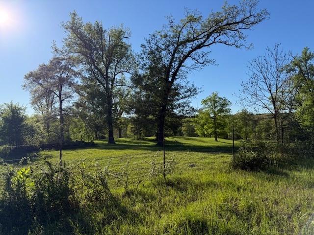 434 Walnut Creek Road Simsboro, LA 71275 - Photo 2 of 16