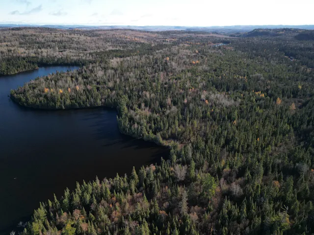 $600,000 | Lot 3 Fullerton Road, Grand Marais, MN 55604