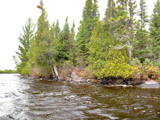 $600,000 | Lot 3 Fullerton Road, Grand Marais, MN 55604