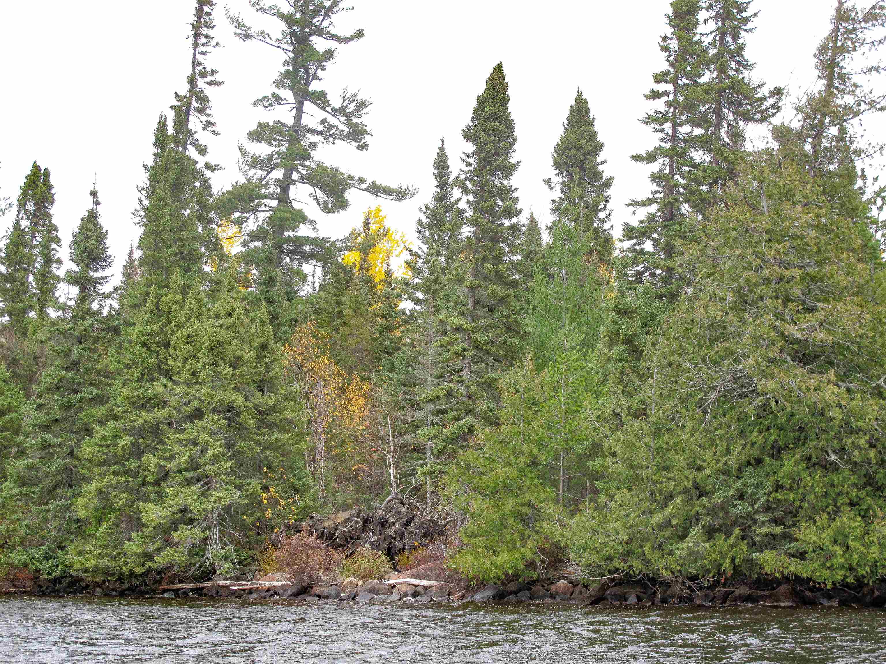 Lot 3 Fullerton Road Grand Marais, MN 55604 - Photo 17 of 39