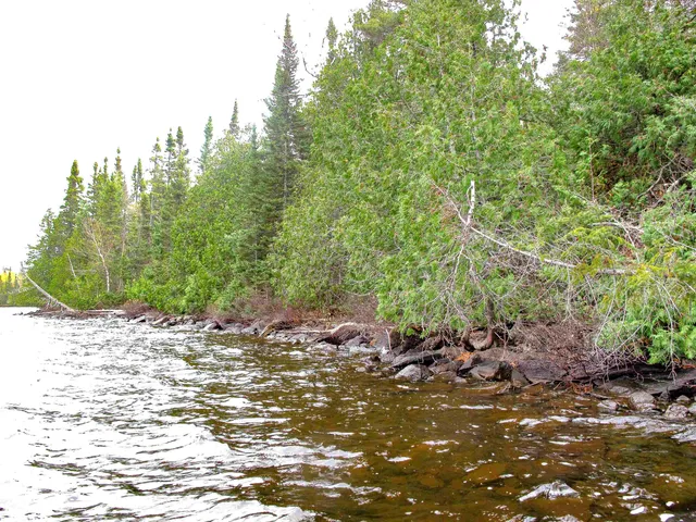 $600,000 | Lot 3 Fullerton Road, Grand Marais, MN 55604